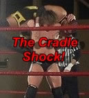 The Cradle Shock TNA Wrestling Column