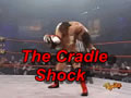 The Cradle Shock TNA Wrestling Column